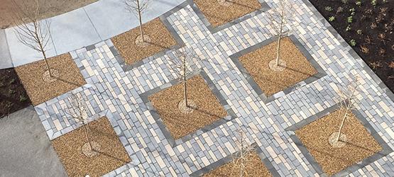 Stunning tree pits with GeoPave™