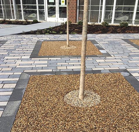 Resin bound surfacing used as tree pits